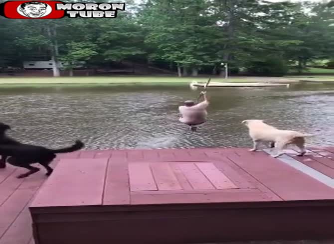 Video :When his owner falls into the water, a dog worries about him